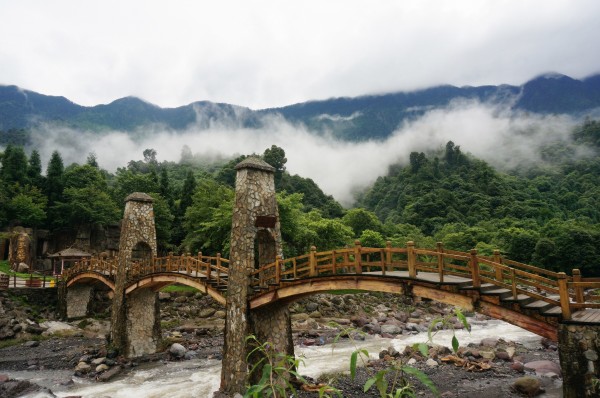 黑竹沟森林公园划分为黑竹沟探秘揽胜区,金字塔旅游观光区和杜鹃池