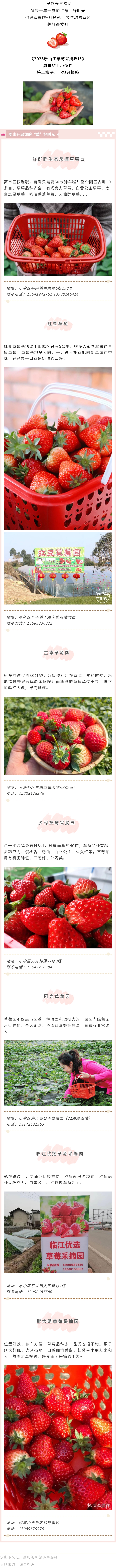 冬草莓
